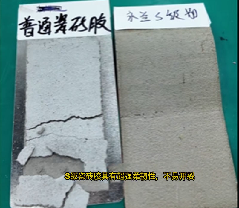 普通與S級(jí)瓷磚膠.jpg