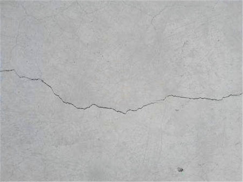 26957047.jpg